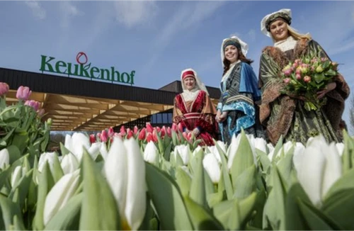 Keukenhof boeketcadeau.nl